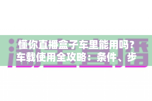 懂你直播盒子车里能用吗?车载使用全攻略:条件、步骤与安全指南一次讲清 懂你直播盒子车里能用吗?车载使用全攻略:条件、步骤与安全指南一次讲清