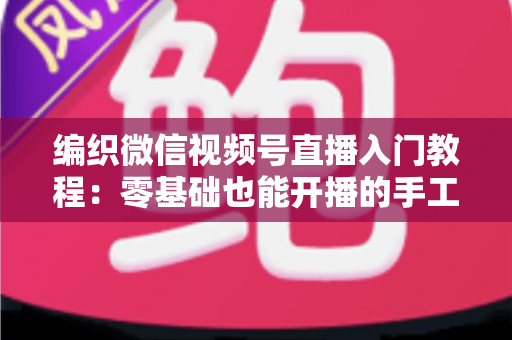 编织微信视频号直播入门教程:零基础也能开播的手工变现实战指南 编织微信视频号直播入门教程:零基础也能开播的手工变现实战指南