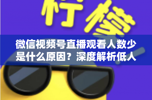 微信视频号直播观看人数少是什么原因?深度解析低人气直播间背后的症结与实用破局策略 微信视频号直播观看人数少是什么原因?深度解析低人气直播间背后的症结与实用破局策略