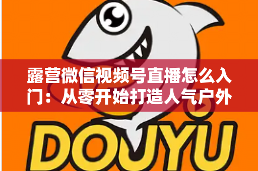 露营微信视频号直播怎么入门:从零开始打造人气户外直播间的完整实战指南 露营微信视频号直播怎么入门:从零开始打造人气户外直播间的完整实战指南