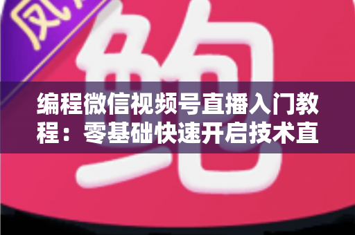 编程微信视频号直播入门教程：零基础快速开启技术直播之旅