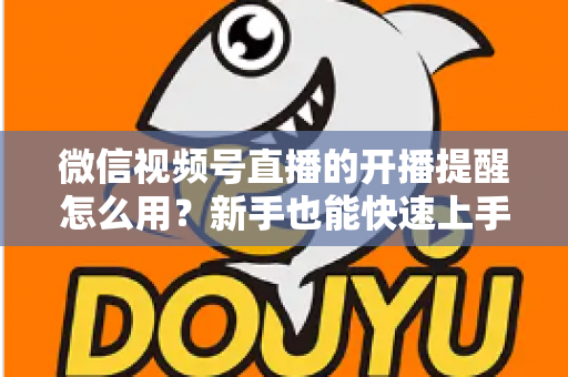 微信视频号直播的开播提醒怎么用？新手也能快速上手的完整操作指南与涨粉秘籍