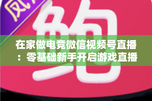 在家做电竞微信视频号直播:零基础新手开启游戏直播事业的完整实战指南 在家做电竞微信视频号直播:零基础新手开启游戏直播事业的完整实战指南