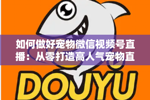 如何做好宠物微信视频号直播：从零打造高人气宠物直播间的实战指南