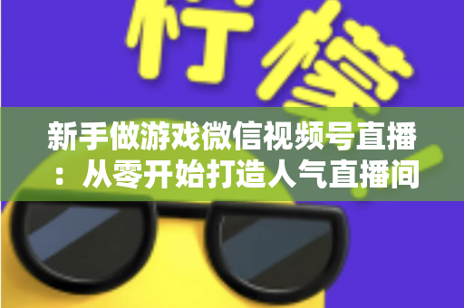 新手做游戏微信视频号直播：从零开始打造人气直播间的完整指南