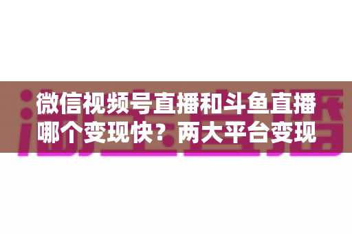 微信视频号直播和斗鱼直播哪个变现快？两大平台变现速度全维度深度对比与实操指南