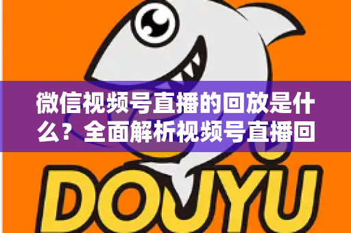 微信视频号直播的回放是什么?全面解析视频号直播回放功能、查看方法与运营价值 微信视频号直播的回放是什么?全面解析视频号直播回放功能、查看方法与运营价值