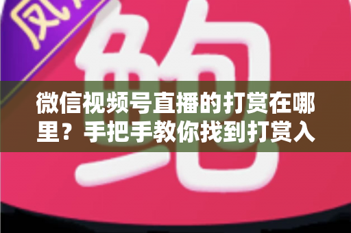 微信视频号直播的打赏在哪里?手把手教你找到打赏入口,轻松支持心仪主播 微信视频号直播的打赏在哪里?手把手教你找到打赏入口,轻松支持心仪主播