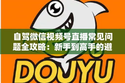 自驾微信视频号直播常见问题全攻略：新手到高手的避坑与涨粉实战指南