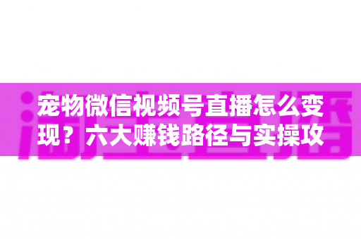 宠物微信视频号直播怎么变现?六大赚钱路径与实操攻略全解析 宠物微信视频号直播怎么变现?六大赚钱路径与实操攻略全解析