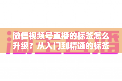 微信视频号直播的标签怎么升级？从入门到精通的标签优化全攻略