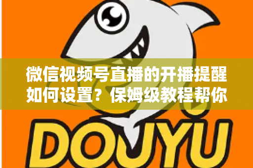 微信视频号直播的开播提醒如何设置？保姆级教程帮你秒开提醒、直播不迷路