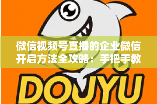 微信视频号直播的企业微信开启方法全攻略：手把手教你打通公私域流量，助力企业高效获客转化