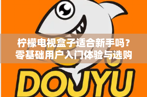 柠檬电视盒子适合新手吗?零基础用户入门体验与选购全解析 柠檬电视盒子适合新手吗?零基础用户入门体验与选购全解析
